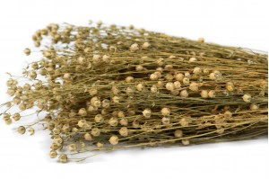 dried-flax-20