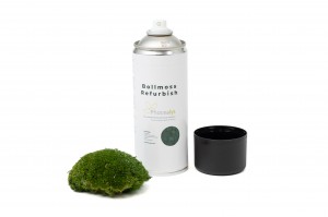 coloring-spray-for-preserved-moss