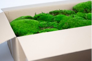 preserved-pole-moss-bulk-box-26